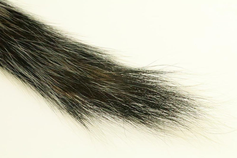 Silver Tip Squirrel Tail_6